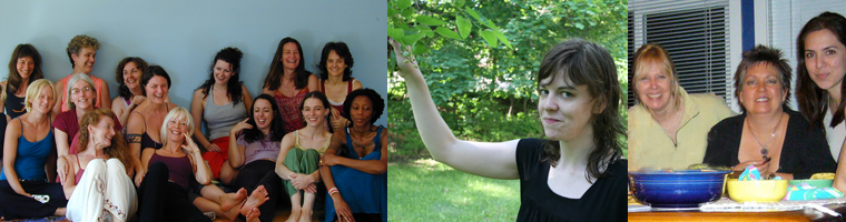 2010PRACTITIONERSBANNER 2