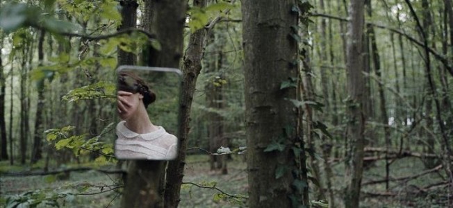 Mirror in Woods