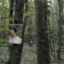 Mirror in Woods