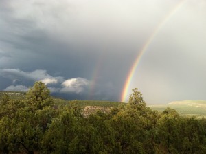 IMG_0794