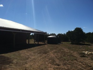 IMG_1096